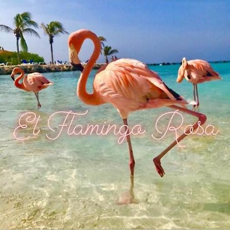 Casa Vacanze El Flamingo Rosa Cod Iun P5386 이글레시아스 외부 사진