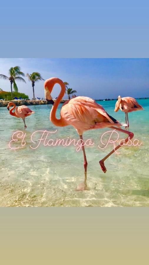 Casa Vacanze El Flamingo Rosa Cod Iun P5386 이글레시아스 외부 사진